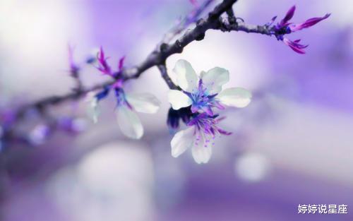 射手座|6月旧情复燃的3星座，再一次牵起彼此的手，让爱情重新起航