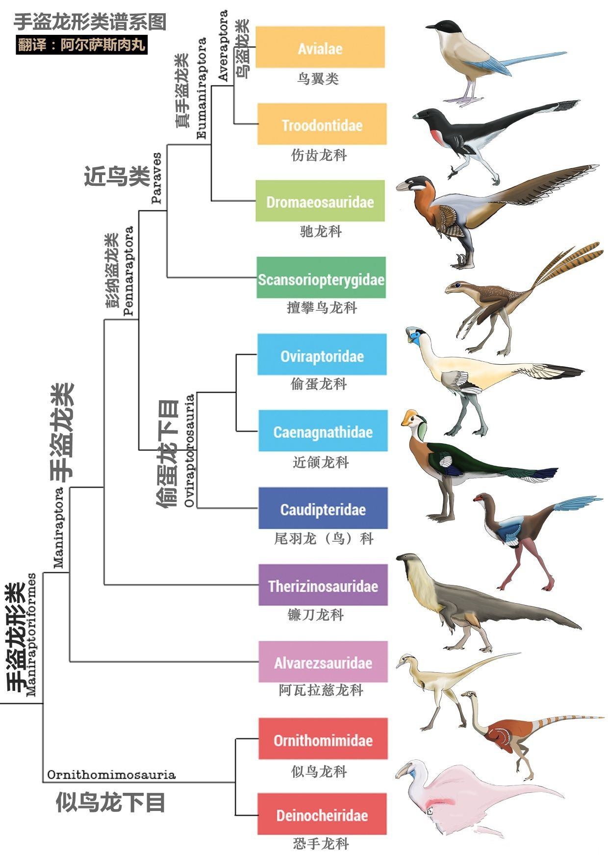 恐龙 恐龙并未灭绝，它们活跃在天空，成为人类宠物，甚至被端上餐桌