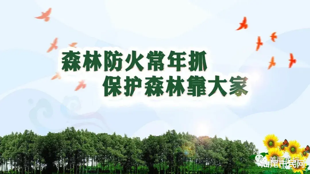 汕尾市民网 曝光！再抓四人...