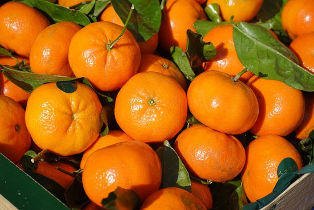 糖尿病|糖尿病人能不能吃橘子？医生建议：常吃5种水果，有助于控好血糖