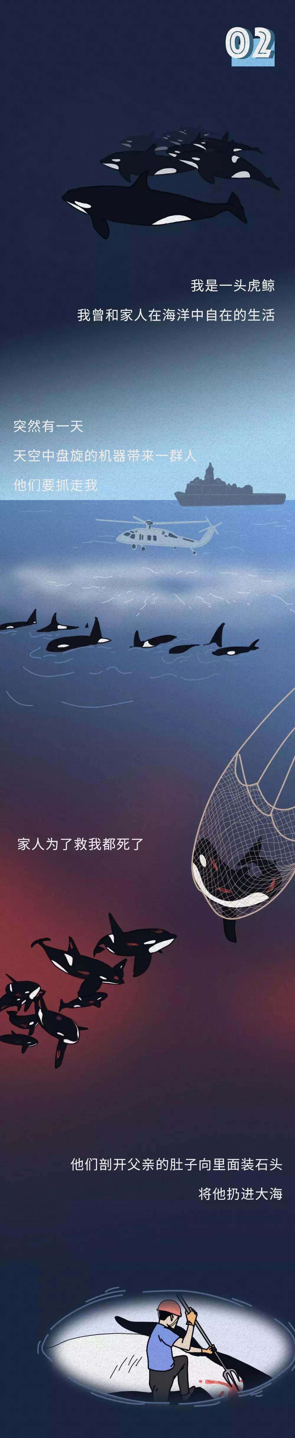  动物是怎样“毁”在人类手中的？看完请拒绝动物表演（漫画）