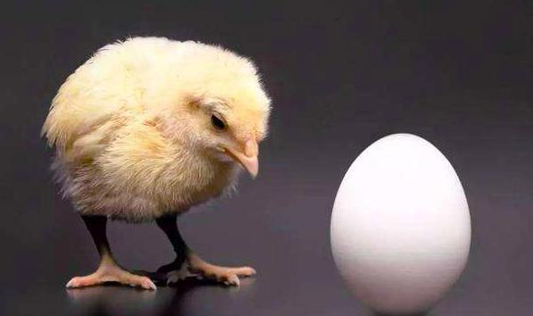 生物学 先有鸡还是先有蛋？