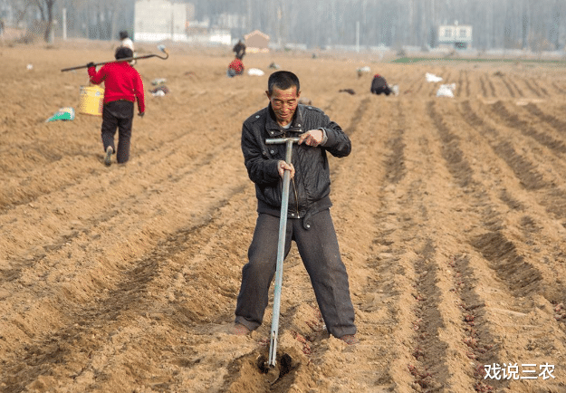 戏说三农 定了！2021年粮补“再”增加！“种地收益”注定不会差！你期待吗