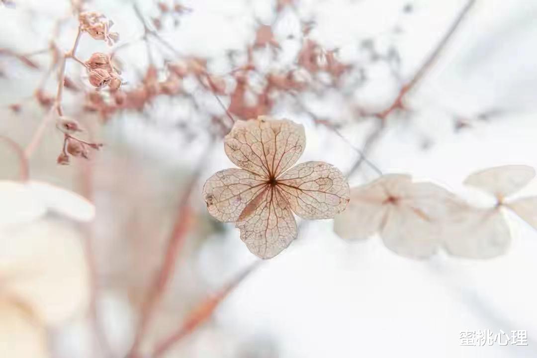 蜜桃心理|职场中，真正聪明的人，往往选择不争