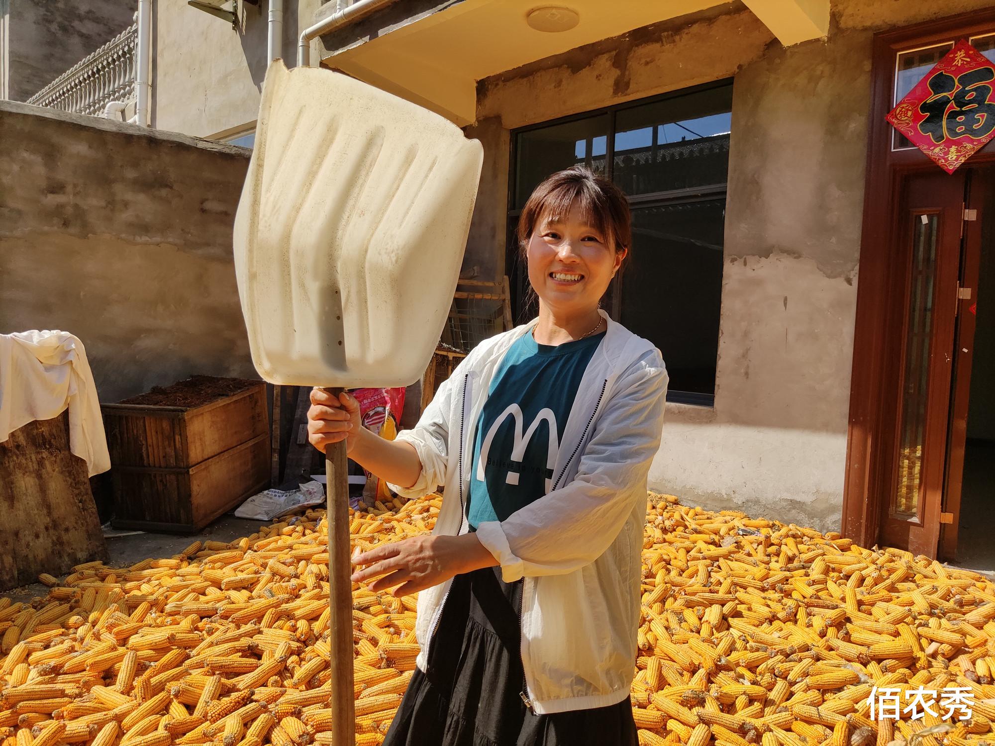 农村老人准确预测今年玉米行情,如今存放60天,每斤涨0.2元