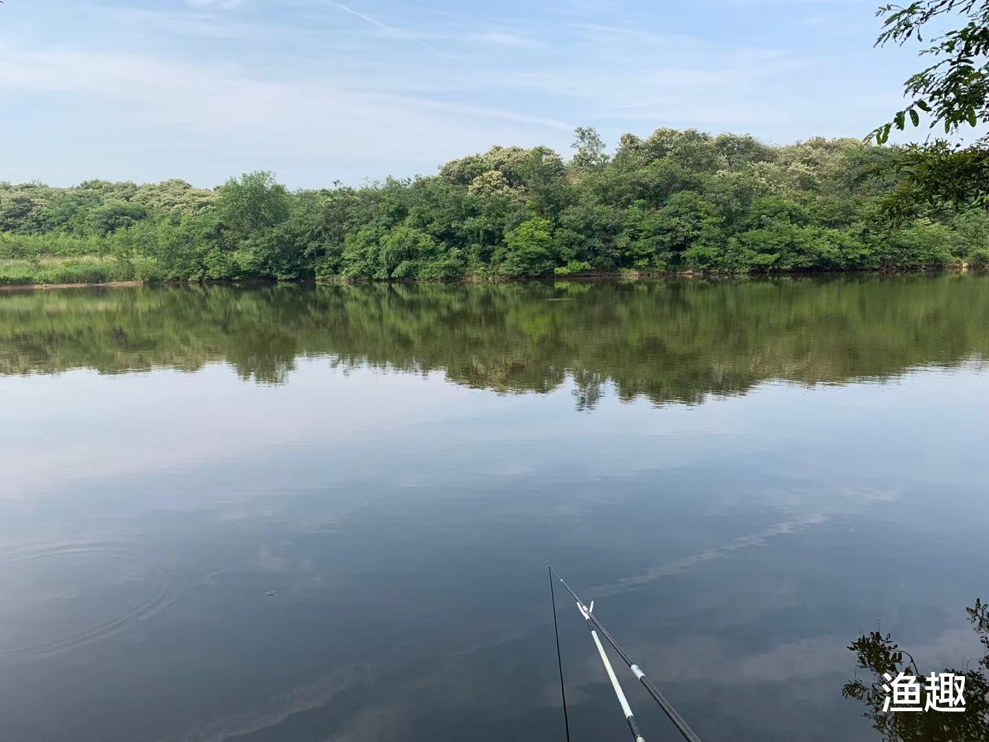 |我钓了一晚上才钓到这些鱼，别人过来就要直接买，还问我多少一斤