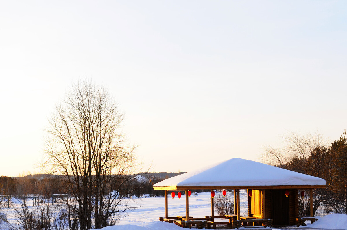 刘嘉玲|小时候调皮把你毁容,长大后赚钱给你整容,然后咱们结婚可以吗