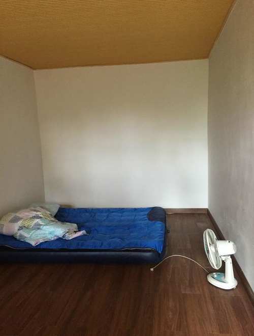 舜网 老家翻新，却在祖屋里搞出来一个“大家伙”！专家：属于上等的古董！