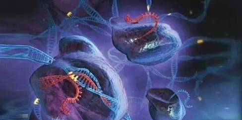 太空 人类不可能永生？科学家：人类不过是「寄宿体」，基因才是主宰