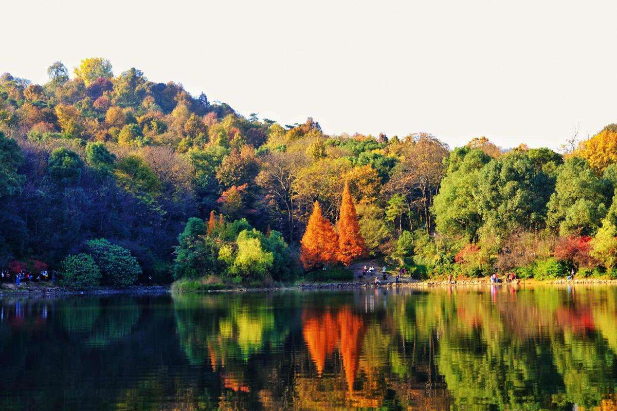 衡山|湖南有一处免费参观的5A景点，古树名木较多，还有一座古代书院