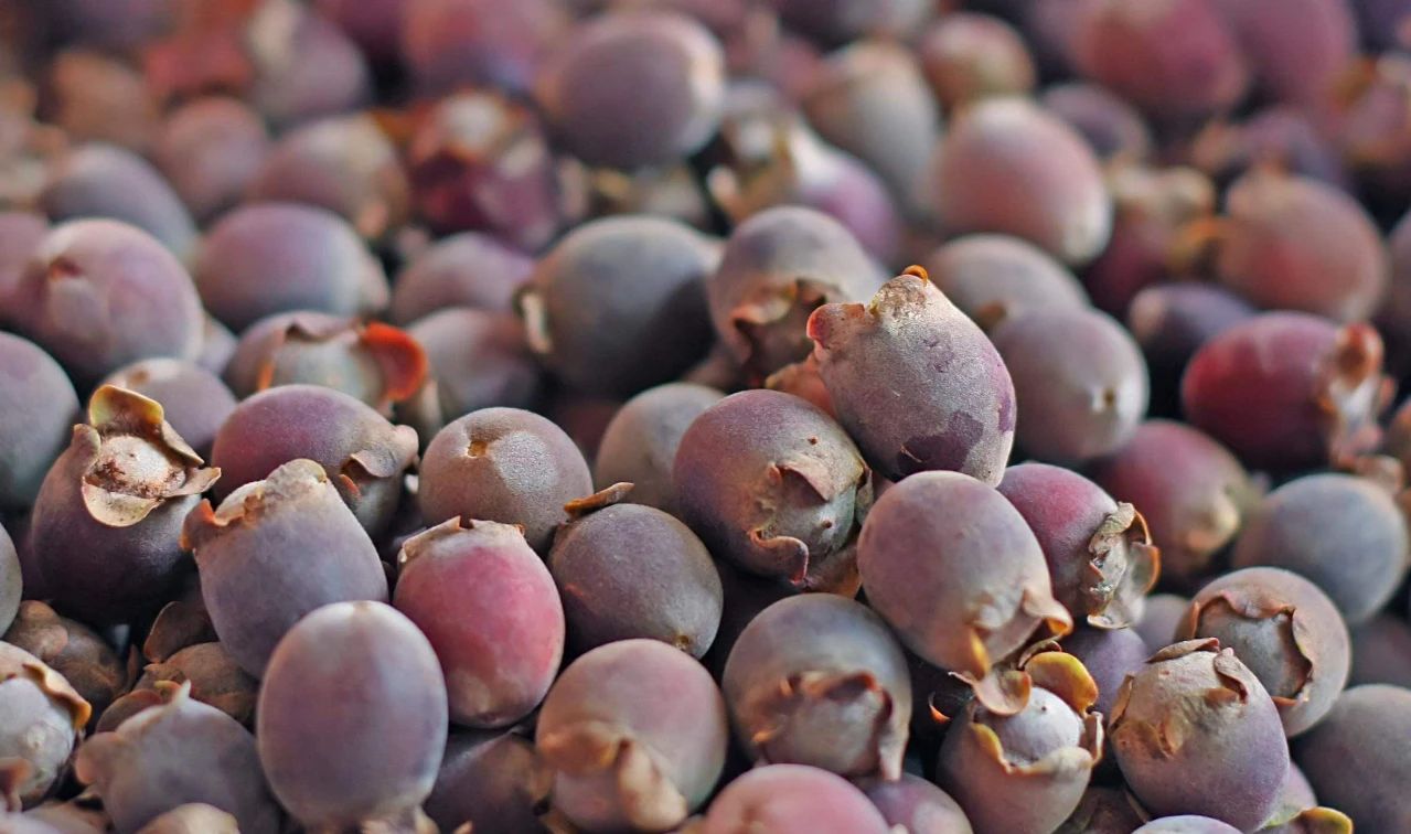 美容养颜|女性不想子宫“很脏”,多吃3种食物,排出毒素,美容养颜效果好