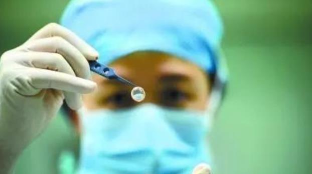 法学|我国难找工作专业排行榜出炉,法学专业榜上有名,榜首一点不委屈