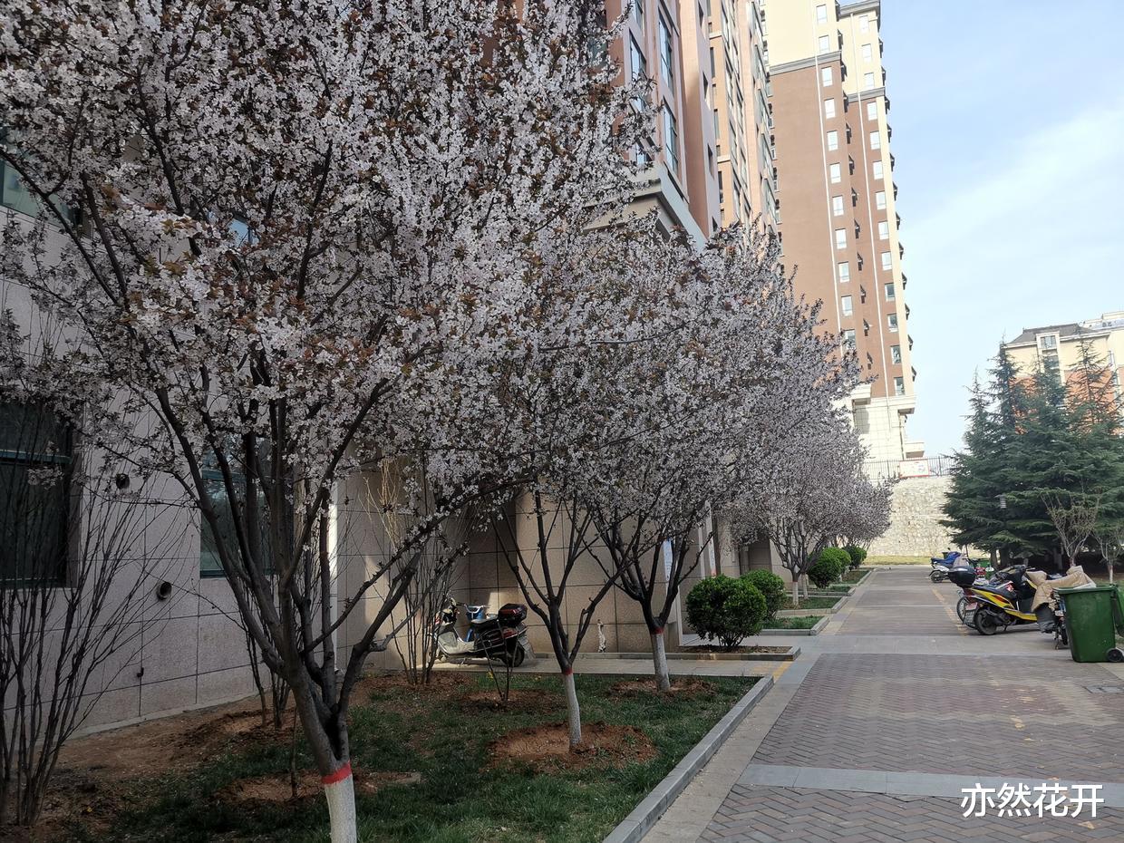 |职场沟通表达，需要掌握三个原则