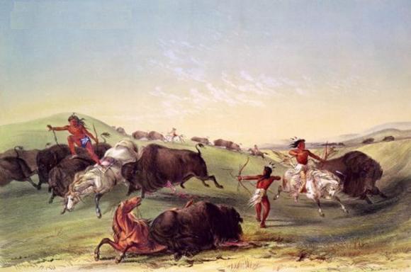 美洲 美国军官表示：尽可能屠杀野牛，多死一头野牛就能少一个印第安人