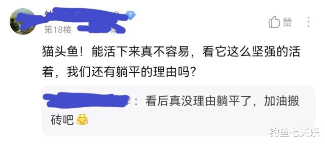 |身残志坚！无脸“猫头鱼”引发网友热议：看后没理由躺平了