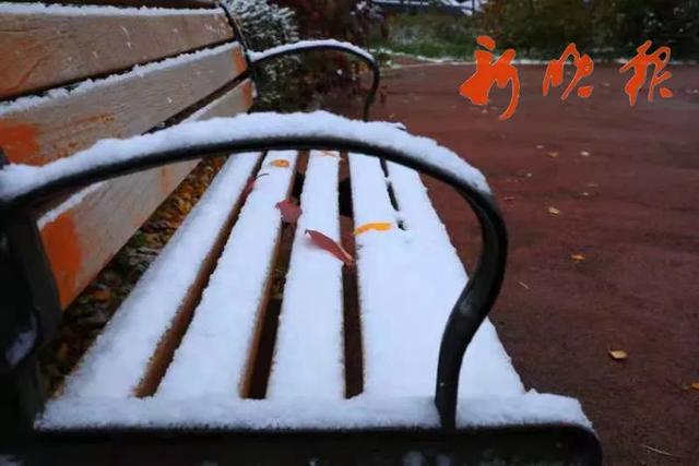 电子商务|一觉醒来，哈尔滨人的朋友圈全“白”了