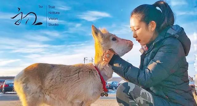 甄嬛传|《甄嬛传》10年，安陵容“意外翻红”：这次，为何全网不骂她了？