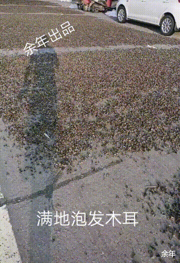 睢宁 河南新乡大水过后，马路上晒满干货，网友：这准备接着卖吗