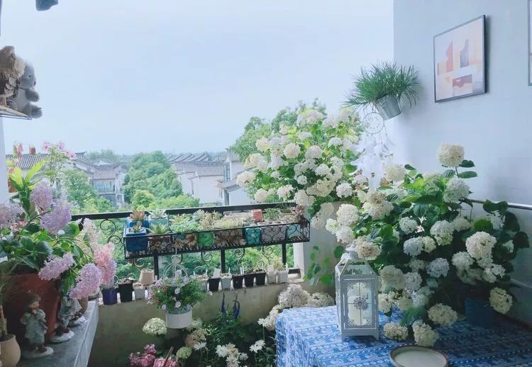 |3㎡的阳台能干嘛？这个宿舍小阳台花园或许会惊艳到你，看看吧！