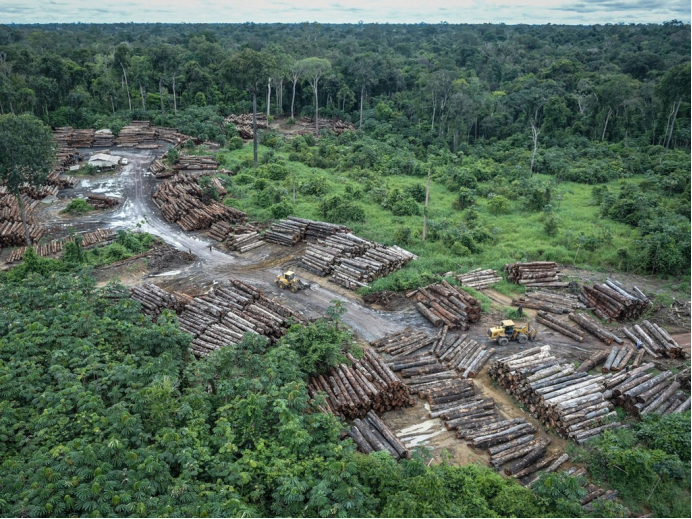 巴西雨林砍伐猛增67%，中國沙漠變綠洲，暴熱原因或已浮出水面-圖3