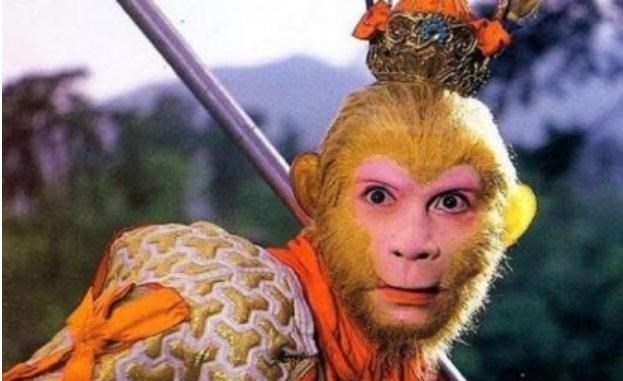 六小龄童|六小龄童女儿29岁还单身,照片被晒出后,网友:这谁敢娶?