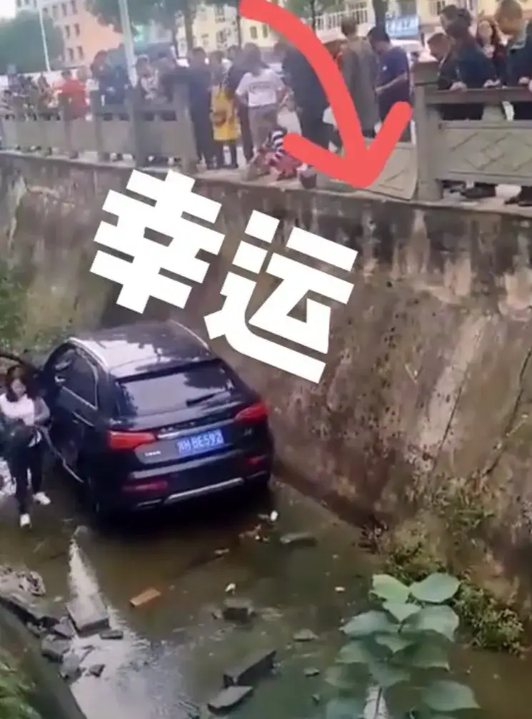 近日,一女子刚拿驾照高兴的上路,结果掉进沟里引人热议