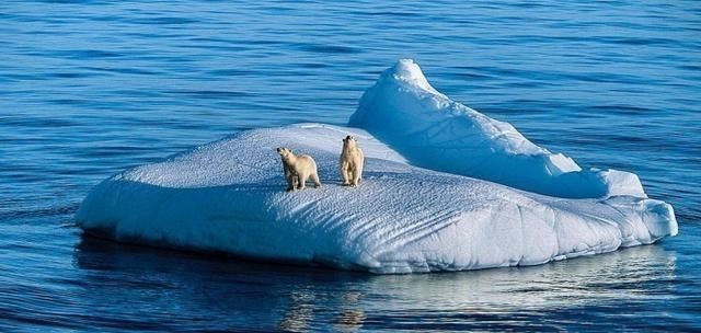 冰盖 格陵兰岛冰盖大规模融化，或影响着“全世界”，保护环境意义重大