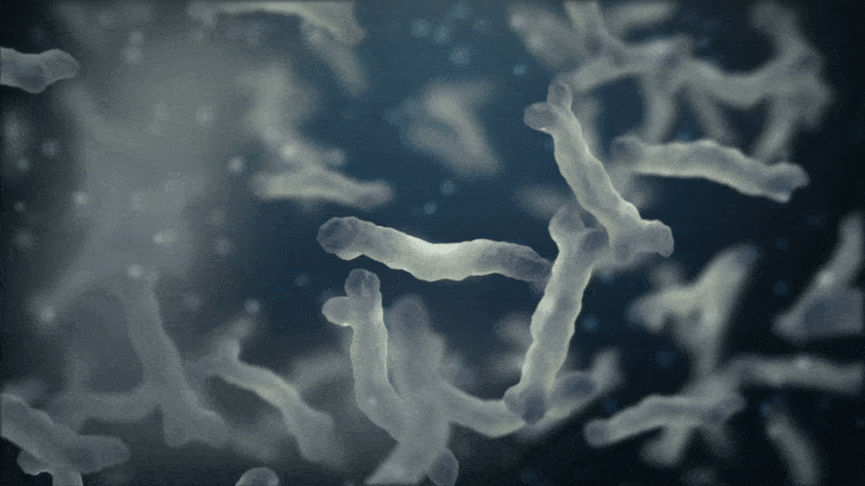 航天 为何每次神舟飞天都要带种子？背后是2000亿市场，太空育种很厉害