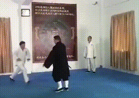 动物庄园|“老婆发来出差的照片,大家看后都劝我看开点,你们都是怎么了?”