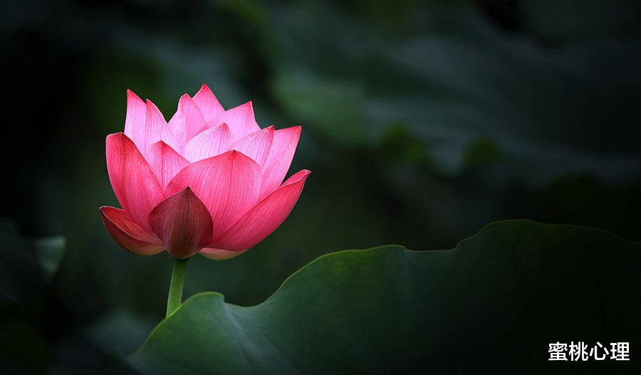 蜜桃心理|人到中年，越是不顺，越要远离身边这些亲戚