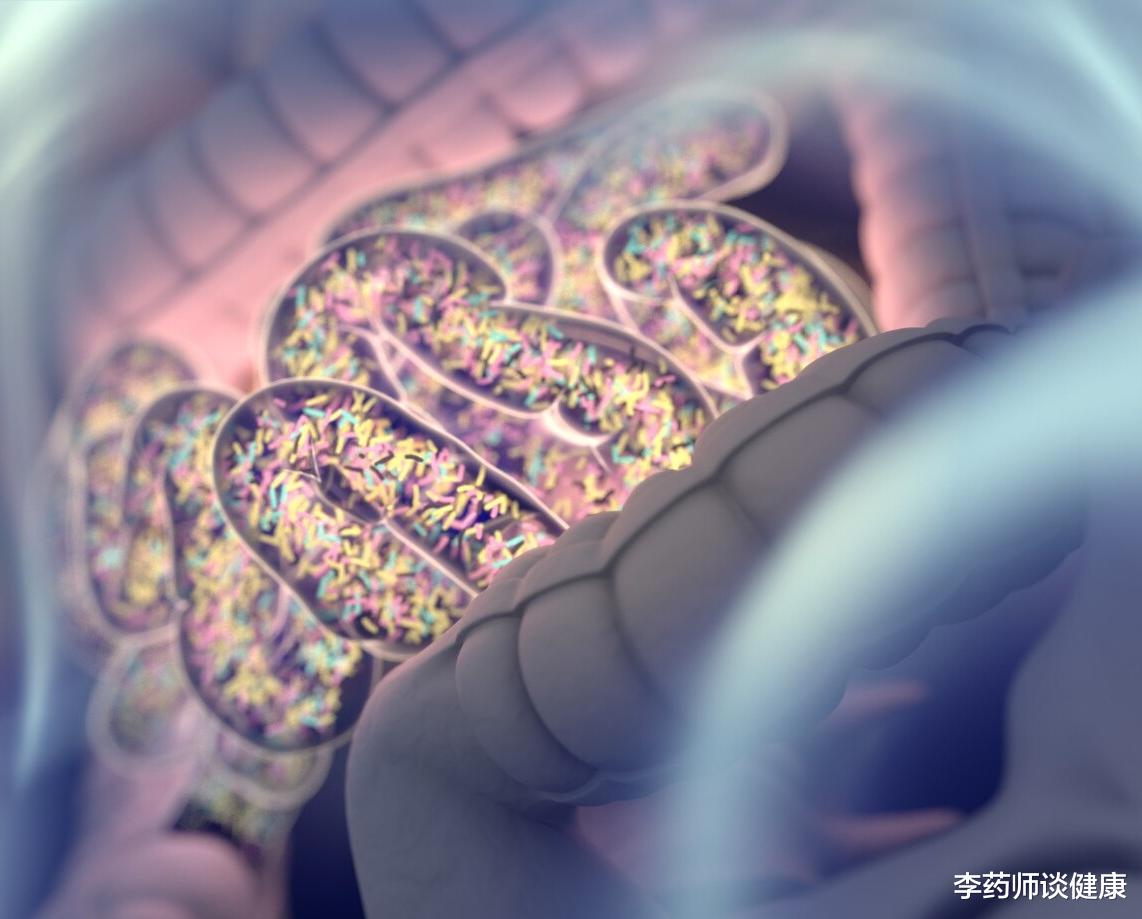 大脑|戒烟的唯一坏处,终于破解了!新研究发现是肠道菌群的“恶作剧”