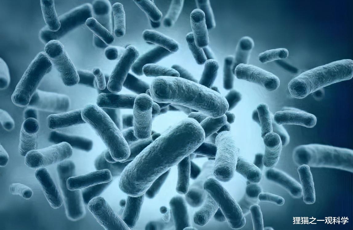 科学家 塑料袋自然降解需200年，它只需几周？科学家发现能以塑料为食的生物