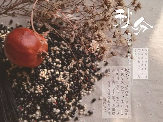 野生动物 阴阳相半，昼夜均分，秋分时节如何开运旺运？