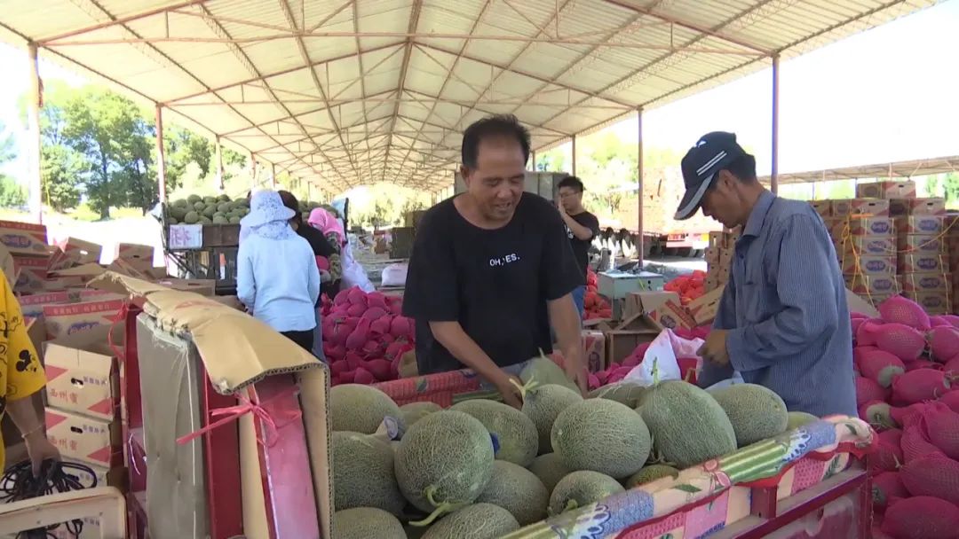瓜州县融媒体中心 瓜州县西湖镇：打造蜜瓜强镇建设生态西湖