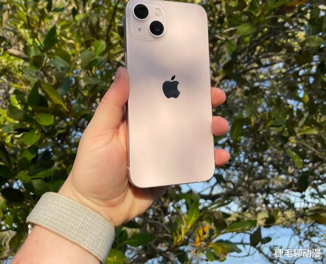 iPhoneX|女同事宁愿买iPhone13也不看国产机一眼