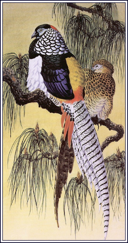 俄罗斯|英国查尔斯.图尼克利夫（Charles.Tunnicliffe）禽鸟水彩画