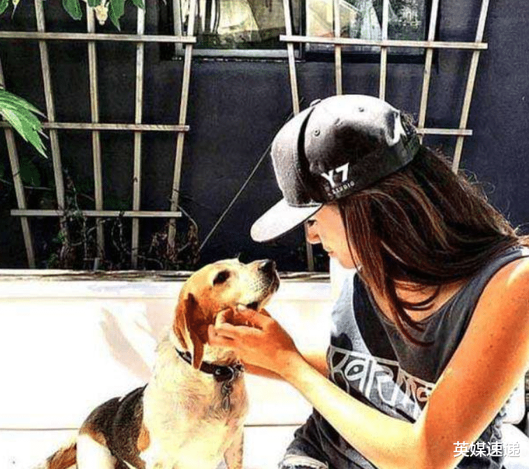 流浪狗|揭露梅根抛弃流浪狗的真正原因：曾经领养只为讨好名气巨大的女星