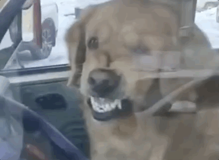 林志玲|?她还是林志玲吗?怎么看着越来越像日本贵妇,真有趣!