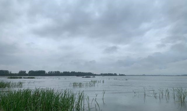 江苏省|江苏钓鱼人钓起罕见“巨型河虾”，称：一手都抓不住了