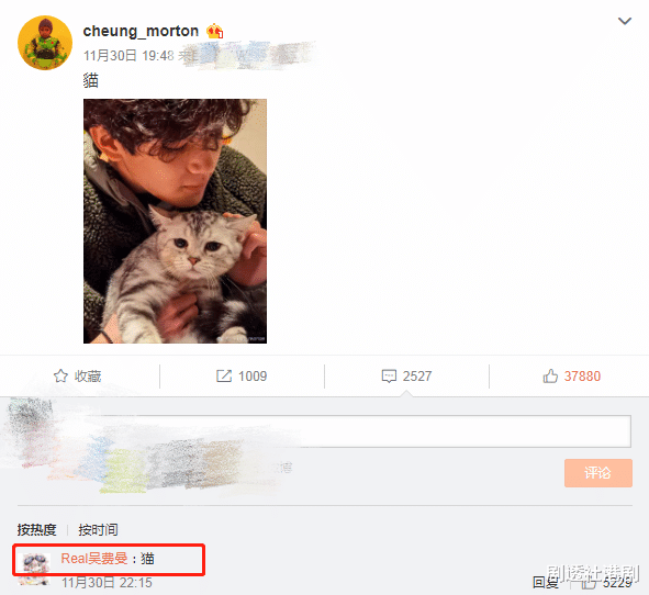 张智霖|吴镇宇曝张智霖娶袁咏仪是做善事，女方回怼：你老婆才舍身取义