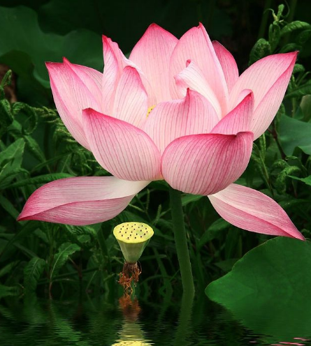 星临天下|9月起，4属相运势回升，吉星傍身，喜事不断，生活如鱼得水