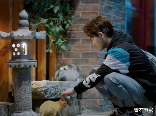 莫凡|年度黑马剧播放量破5亿，演员身价暴涨，这个男二真该火了