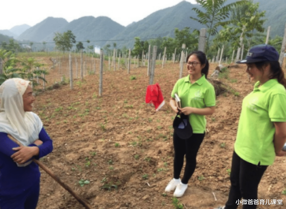 小微爸爸育儿课堂|“考编不去乡下，考研不考名校”，过来人道出原因，现实且扎心
