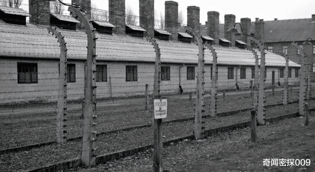 奇闻密探009|美国“最美女间谍”玛丽塔,色诱多国领导人,亲历肯尼迪枪杀案