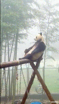 搞笑神回复|神回复：如果马龙和我比赛，马龙的胜算有几成？哈哈哈哈！