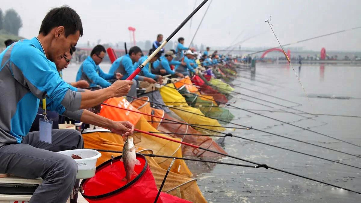 巴顿|多起违规垂钓事件被渔政部门处罚，钓鱼人下竿前该如何避坑？