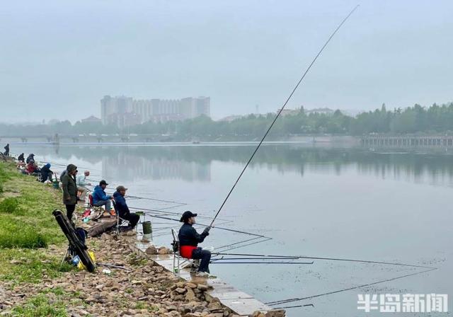 白沙|白沙河畔细雨蒙蒙，雨中垂钓其乐融融