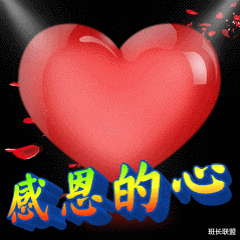 比特币|暴涨20%! 比特币这是要反转吗？是不是要突破10万美金？可以跟进吗？