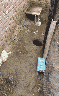 小叶娱记|为什么孙悟空师兄弟取经途中不变成凡人模样,这样不就不吓人了吗?