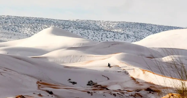 撒哈拉沙漠 千年难遇！撒哈拉沙漠突降白雪，地球要“降温”，进入冰河时期？
